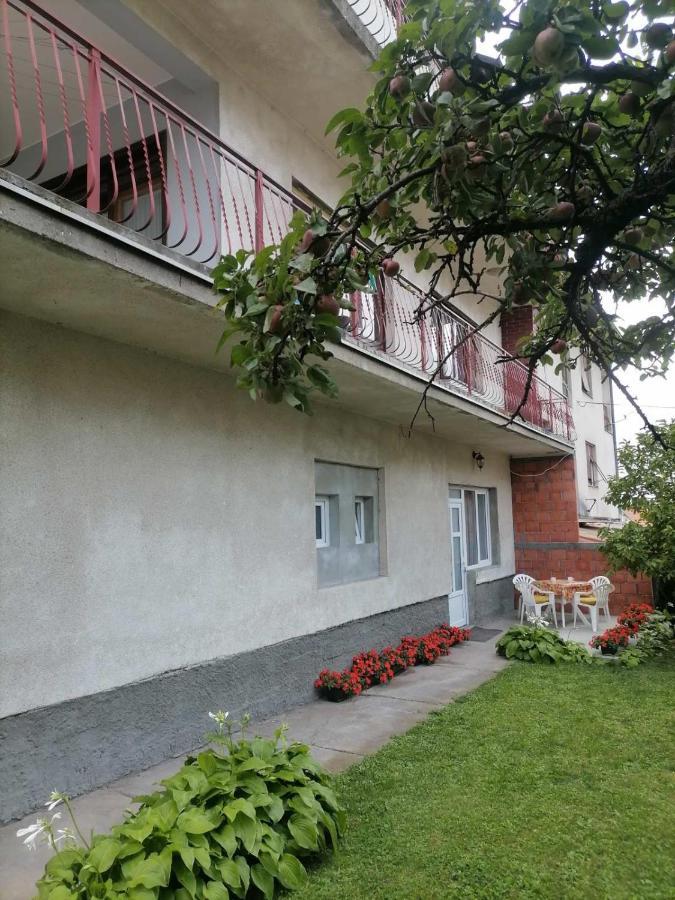 Pavicevic Apartment Soko Banja Exterior photo