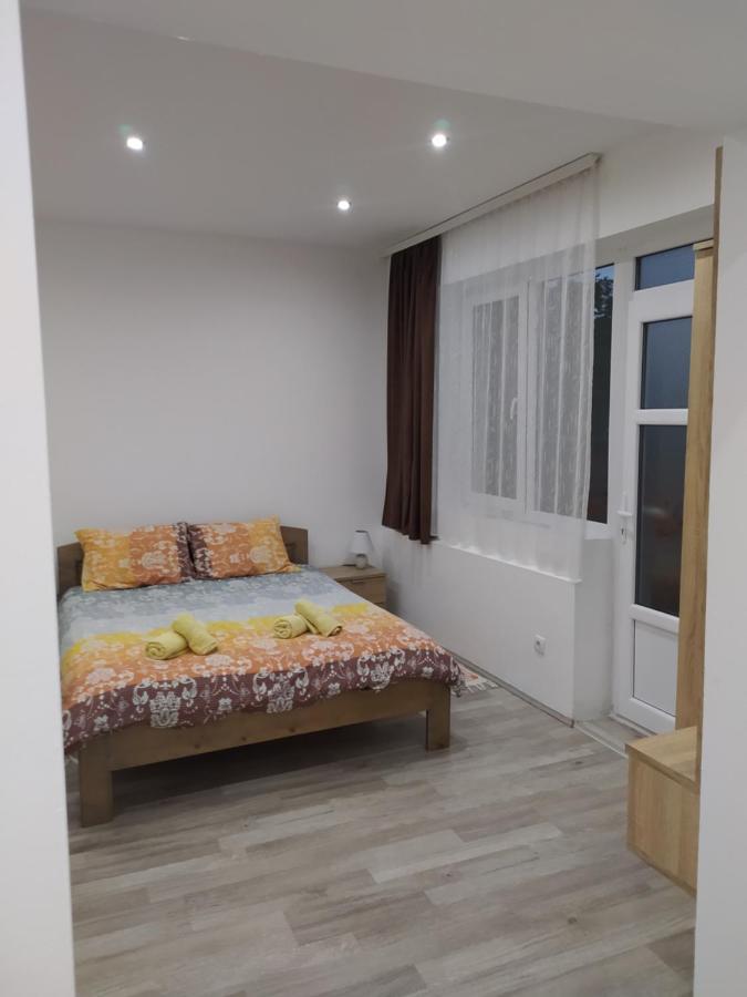 Pavicevic Apartment Soko Banja Exterior photo